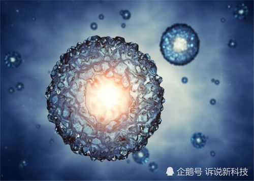 宇宙的隐秘走廊 多维空间与那些科学无法解释的失踪案